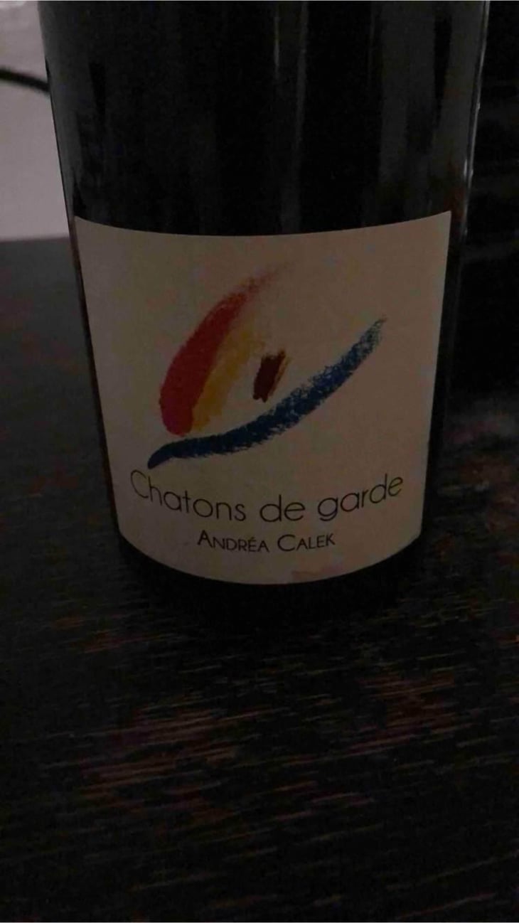 Chatons de Garde - Andrea Calek - Andrea Calek et Stephana Nicolescu 