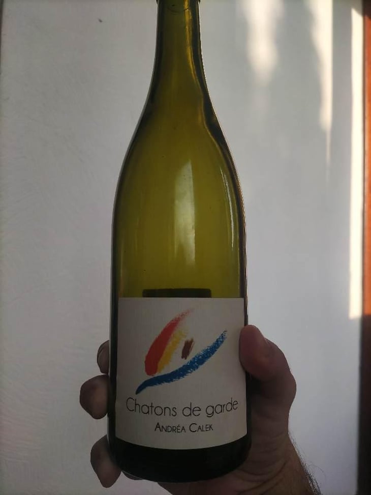 Chatons de Garde - Andrea Calek - Andrea Calek et Stephana Nicolescu 