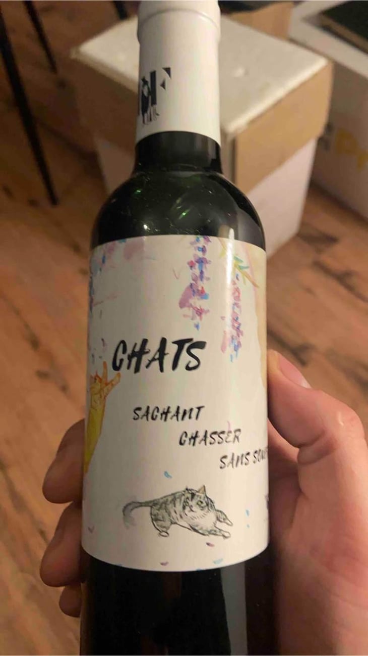 Chats sachant chasser sans soufre - Château Terre Fauve - Morgane Jouan & Nicolas Baudet 