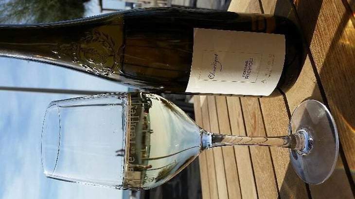 Chauvigné - Domaine Richou - Didier & Damien Richou (RETIRED) 