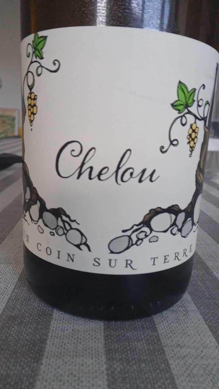 Chelou - Un Coin Sur Terre - Edouard Sentex 