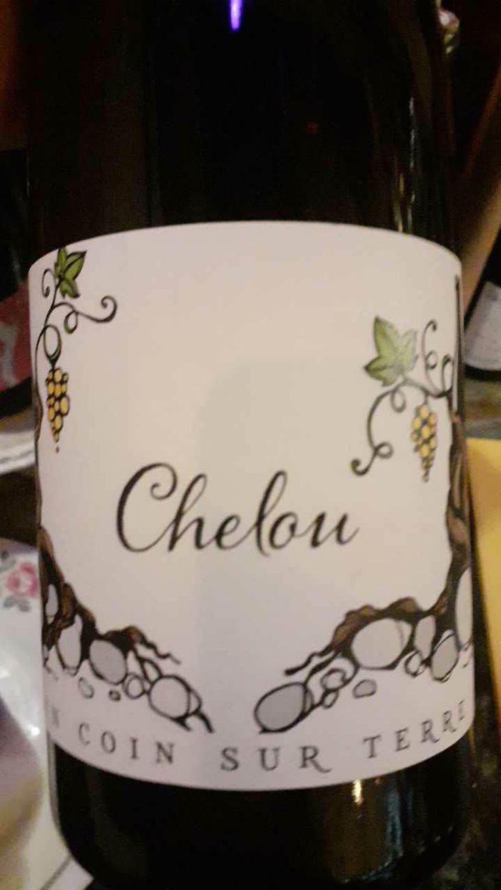 Chelou - Un Coin Sur Terre - Edouard Sentex 