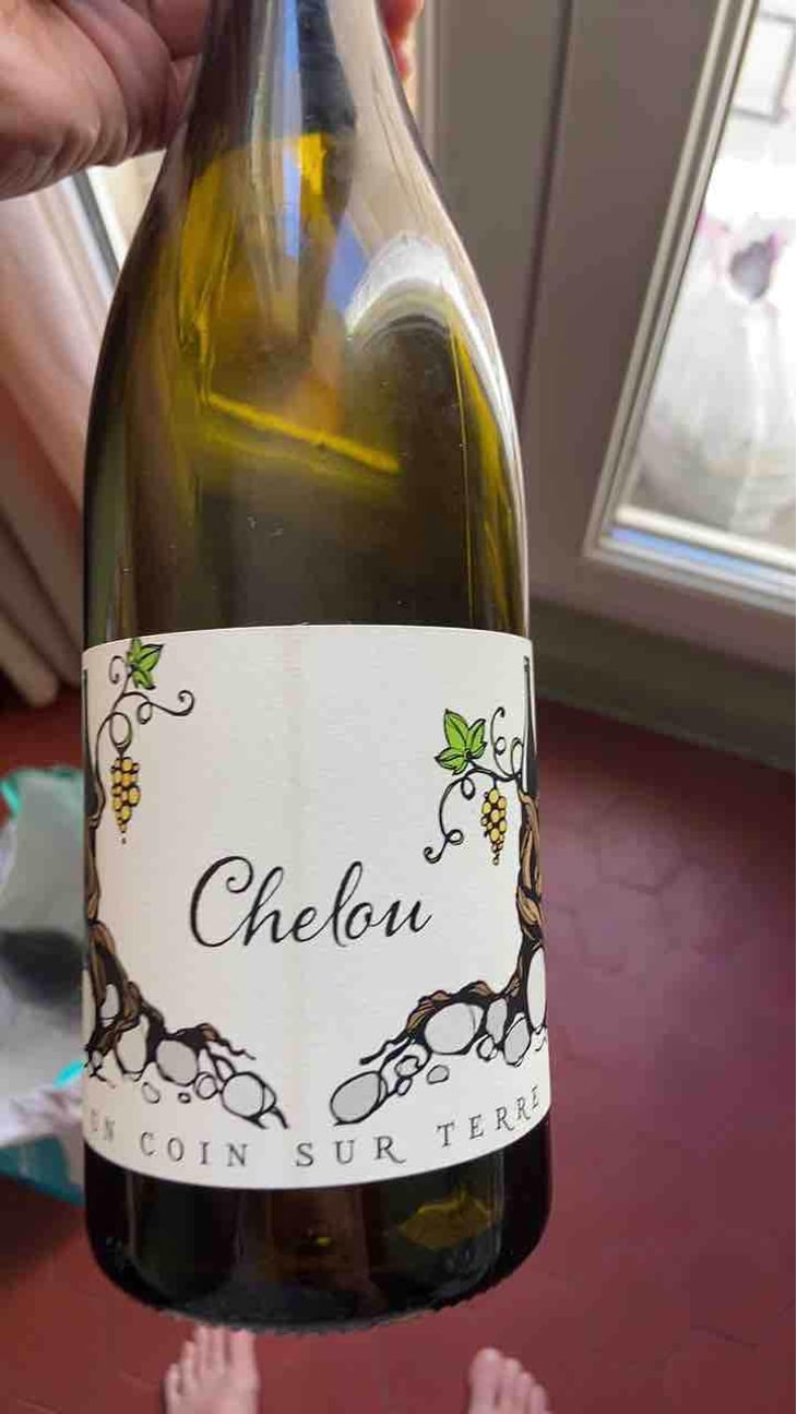 Chelou - Un Coin Sur Terre - Edouard Sentex 