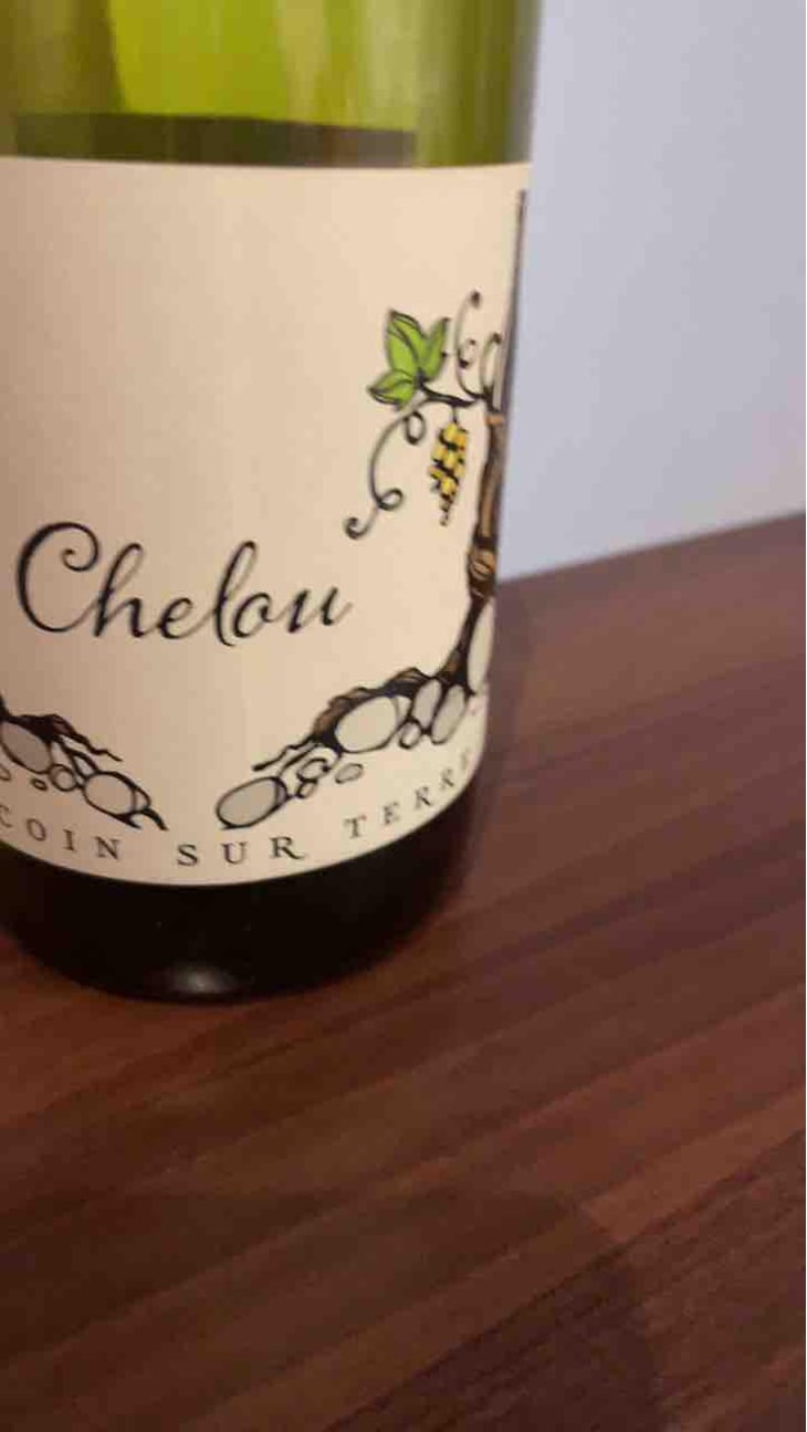 Chelou - Un Coin Sur Terre - Edouard Sentex 