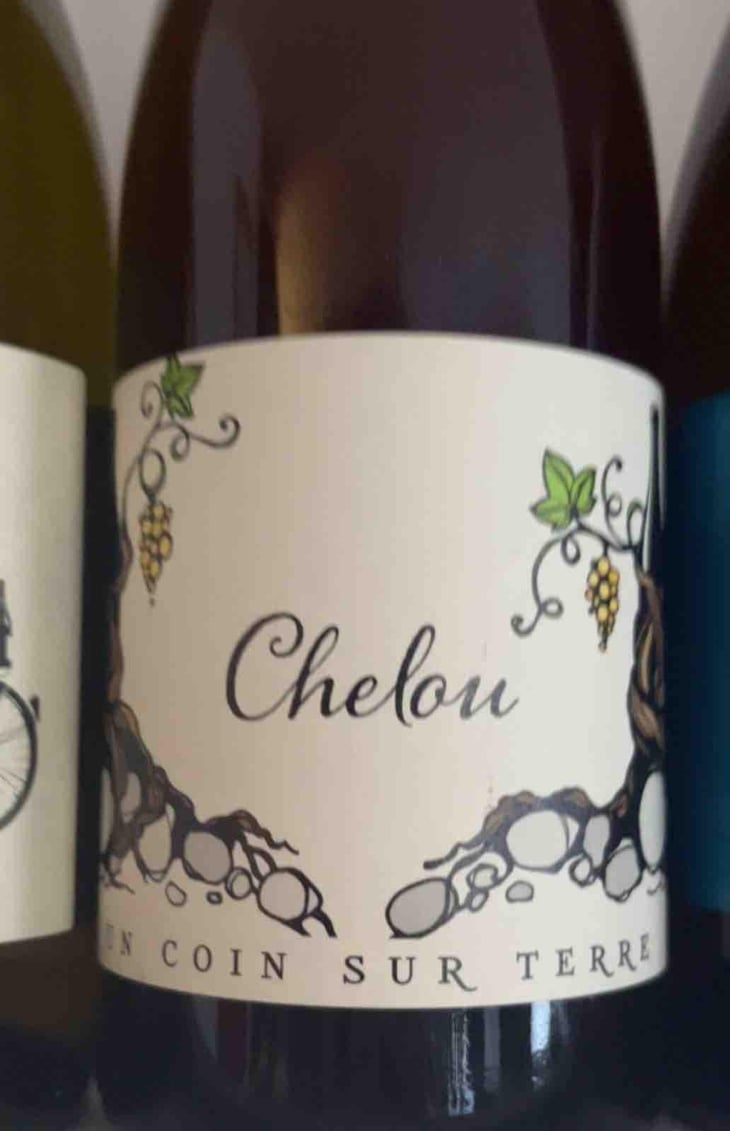 Chelou - Un Coin Sur Terre - Edouard Sentex 