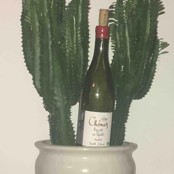 Chénas Lieu dit en Papolet - Domaine de la Grand'Cour - Jean-Louis Dutraive 