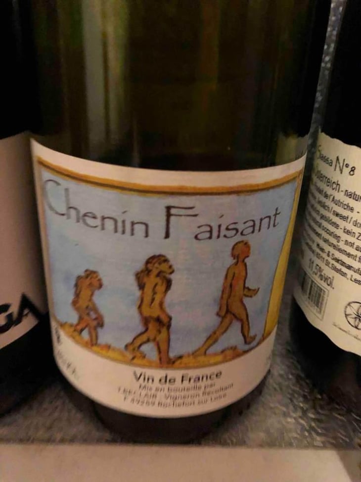 Chenin Faisant - La Cave Béclair - Gildas & Thierry Béclair 