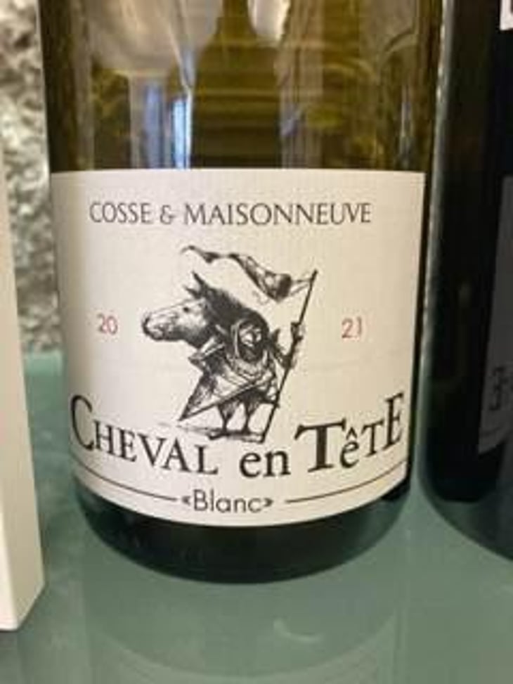 Cheval En Tête - Cosse & Maisonneuve - Matthieu Cosse & Catherine Maisonneuve 