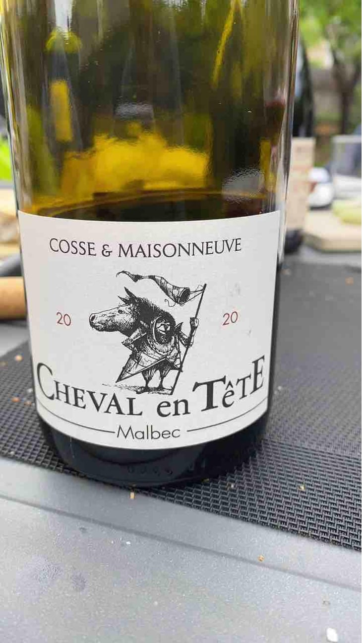 Cheval En Tête - Cosse & Maisonneuve - Matthieu Cosse & Catherine Maisonneuve 