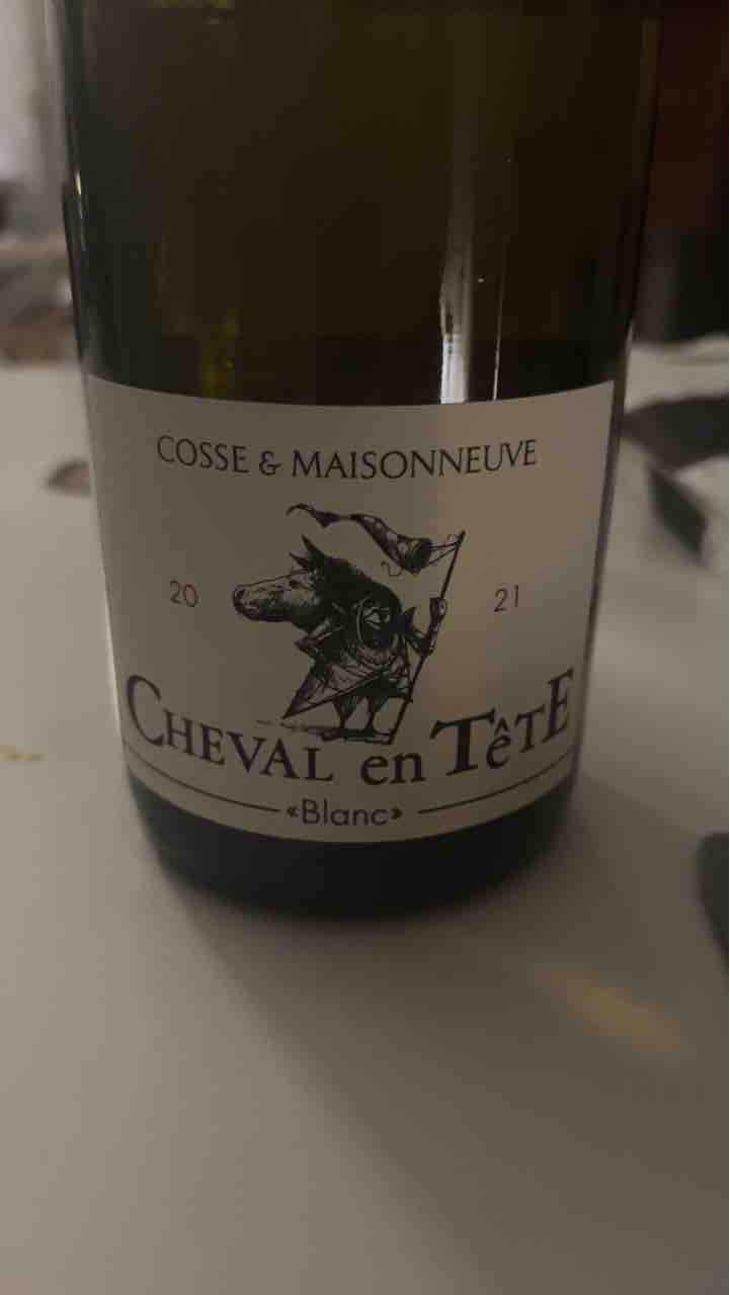 Cheval En Tête - Cosse & Maisonneuve - Matthieu Cosse & Catherine Maisonneuve 