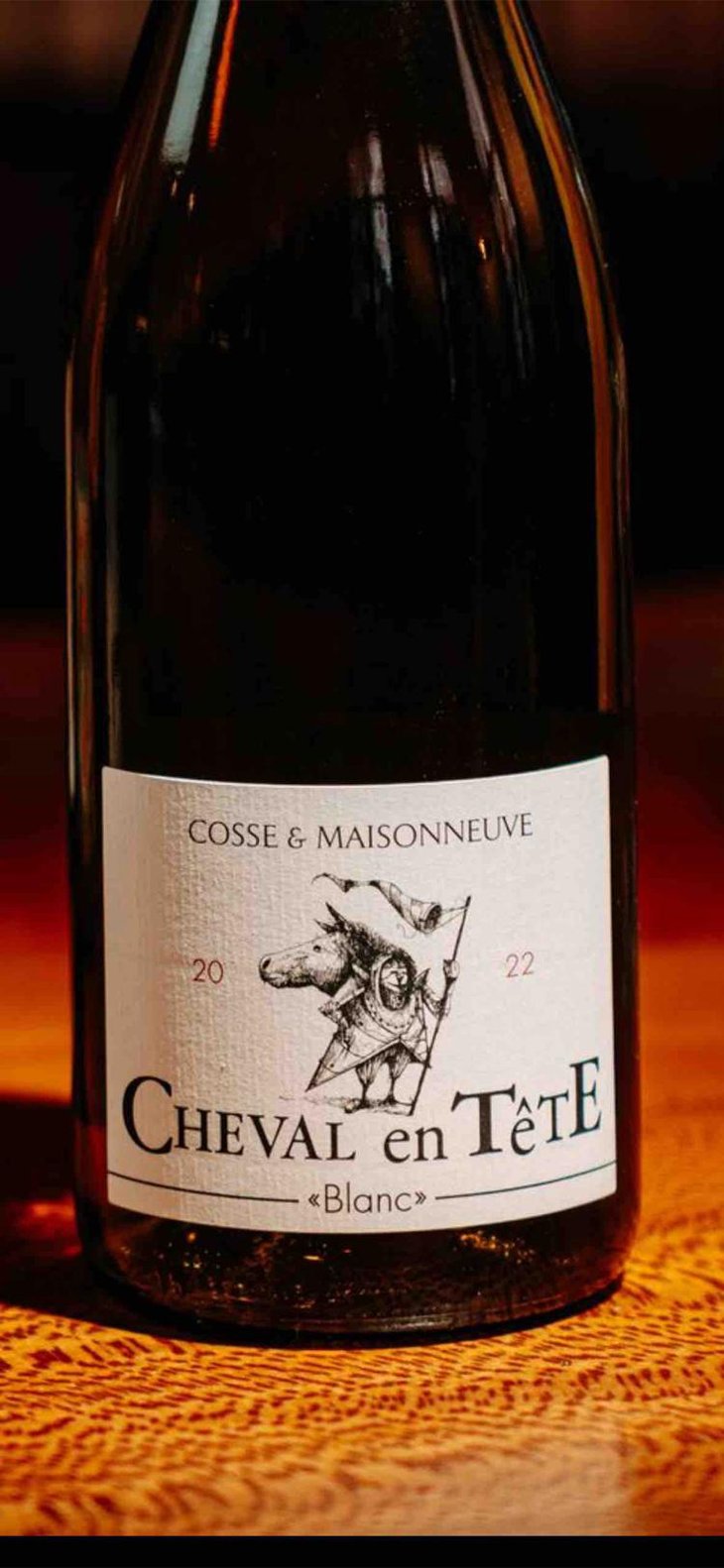 Cheval En Tête - Cosse & Maisonneuve - Matthieu Cosse & Catherine Maisonneuve -2021
