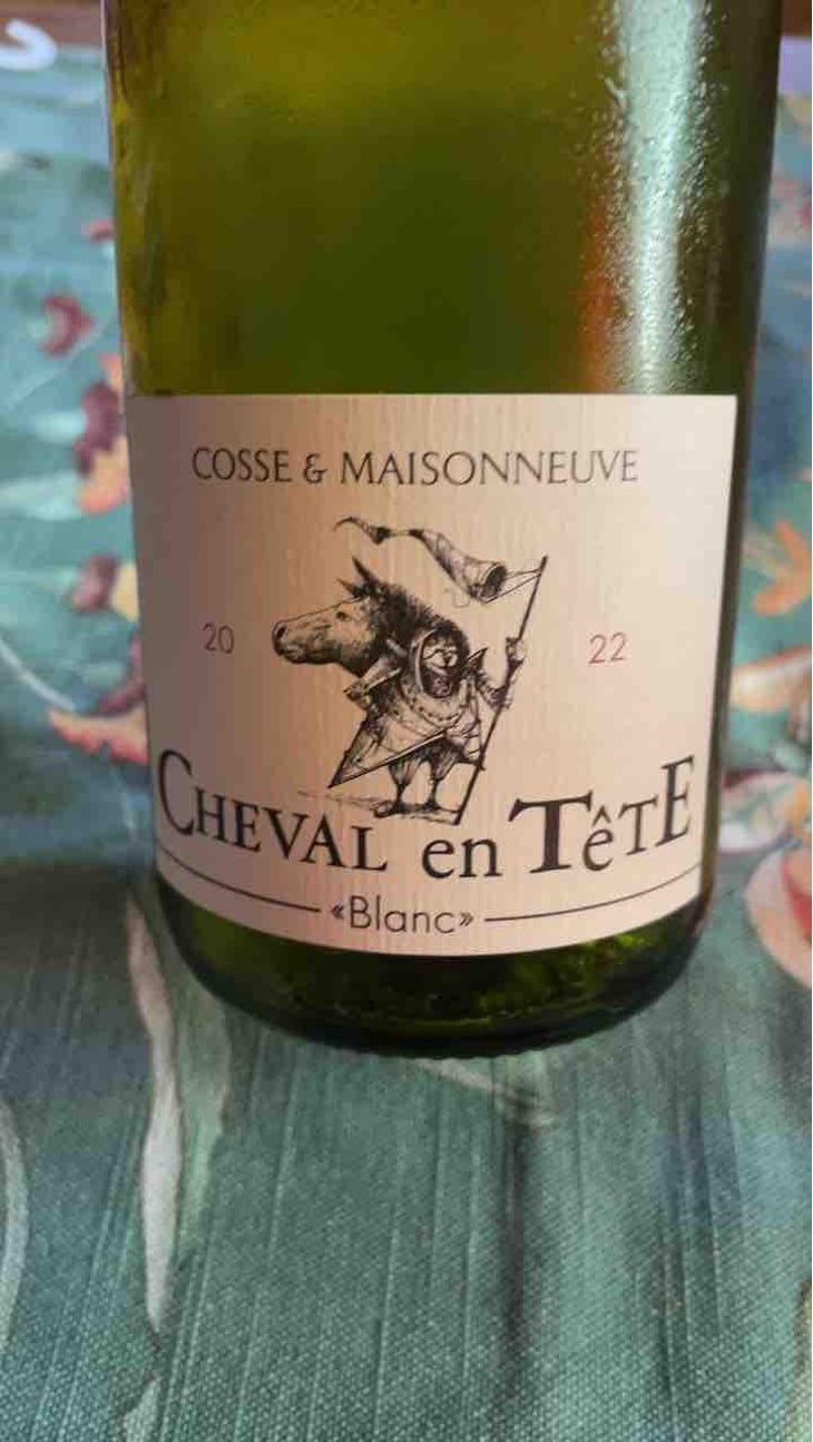 Cheval En Tête - Cosse & Maisonneuve - Matthieu Cosse & Catherine Maisonneuve -2021