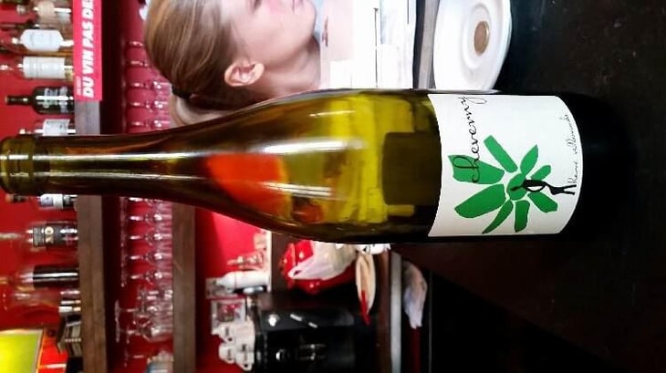 Cheverny (blanc) - Domaine - Hervé Villemade - Hervé Villemade 