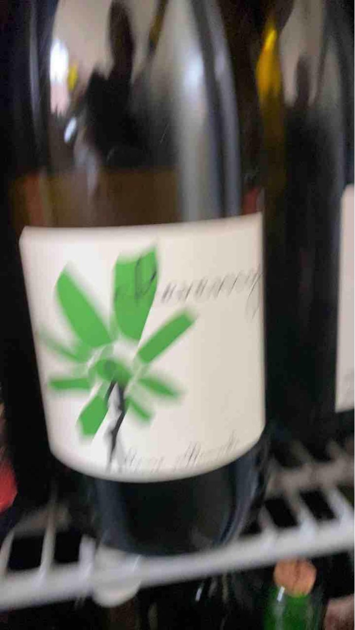 Cheverny (blanc) - Domaine - Hervé Villemade - Hervé Villemade 