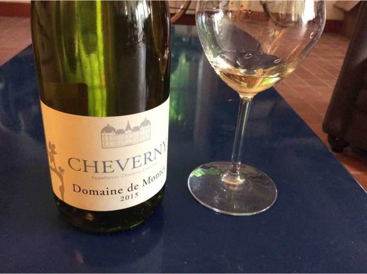 Cheverny - Domaine de Montcy - Vincent Hayer 