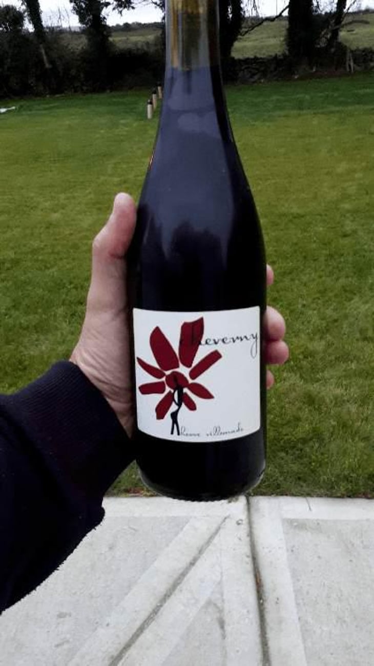 Cheverny (rouge) - Domaine - Hervé Villemade - Hervé Villemade 
