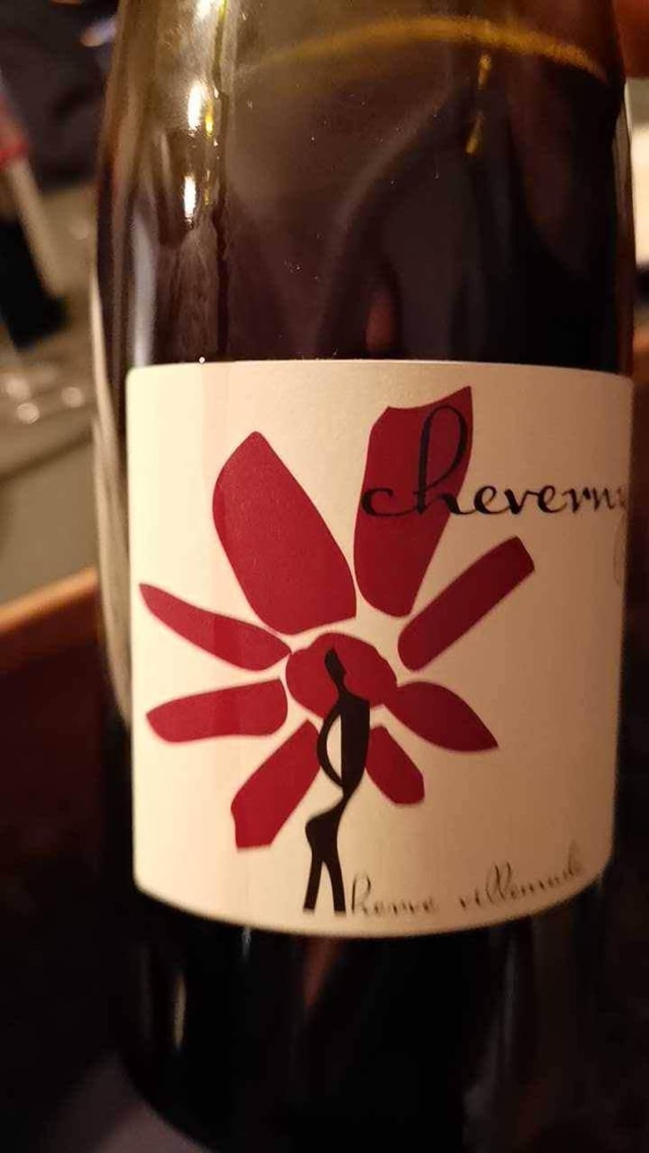 Cheverny (rouge) - Domaine - Hervé Villemade - Hervé Villemade 