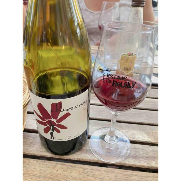 Cheverny (rouge) - Domaine - Hervé Villemade - Hervé Villemade 