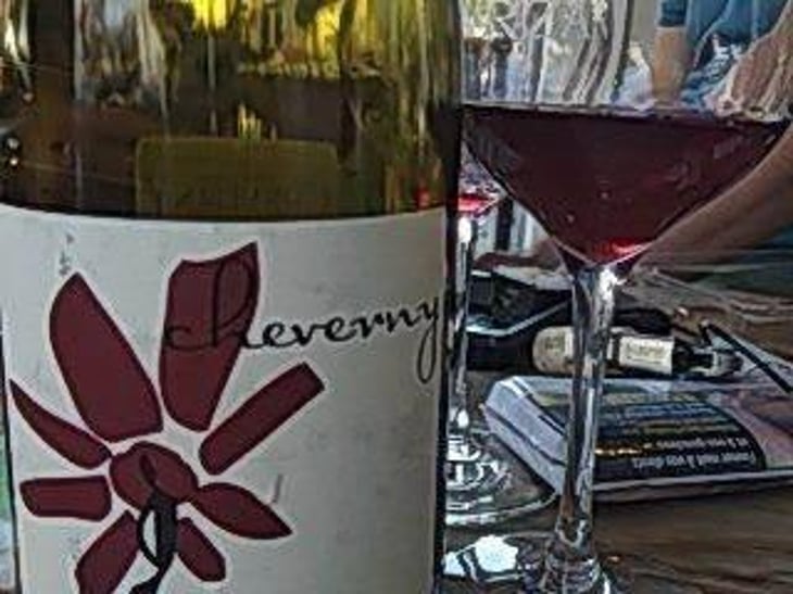 Cheverny (rouge) - Domaine - Hervé Villemade - Hervé Villemade 