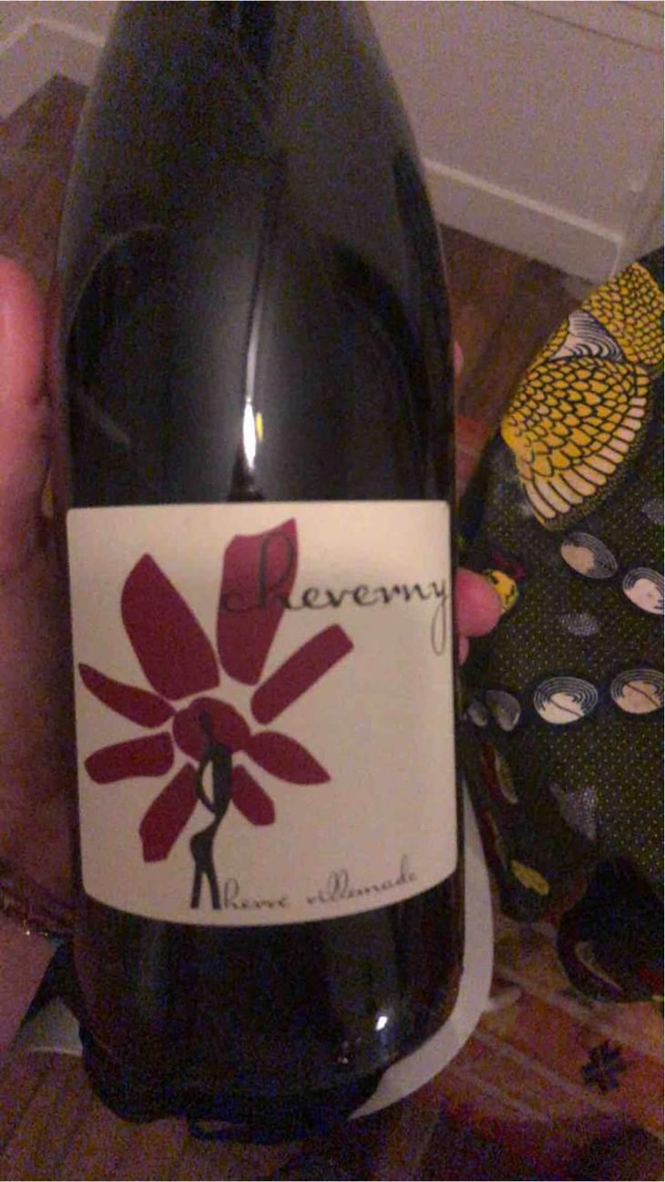 Cheverny (rouge) - Domaine - Hervé Villemade - Hervé Villemade 