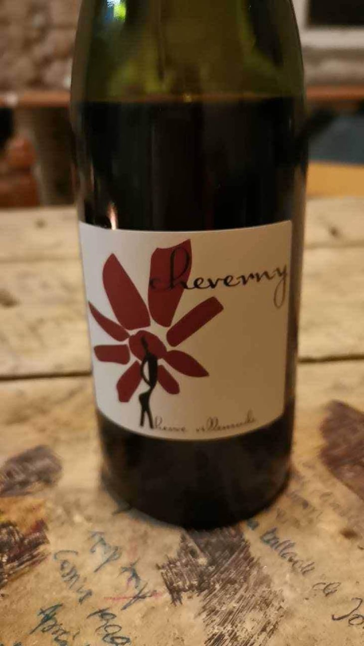 Cheverny (rouge) - Domaine - Hervé Villemade - Hervé Villemade 