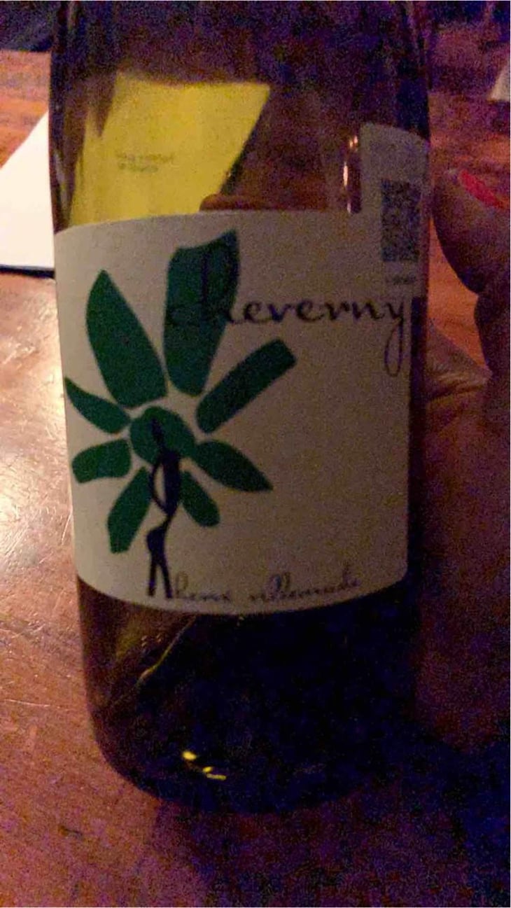 Cheverny (rouge) - Domaine - Hervé Villemade - Hervé Villemade 