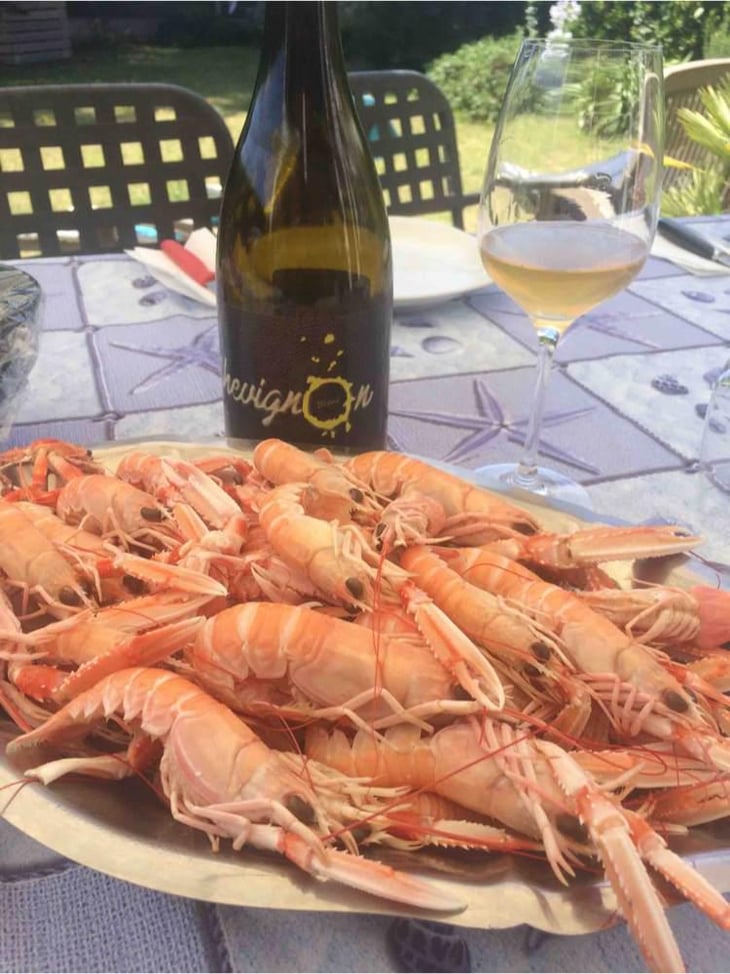 Chevignon - Domaine de la Petite Soeur - Adrien de Mello 