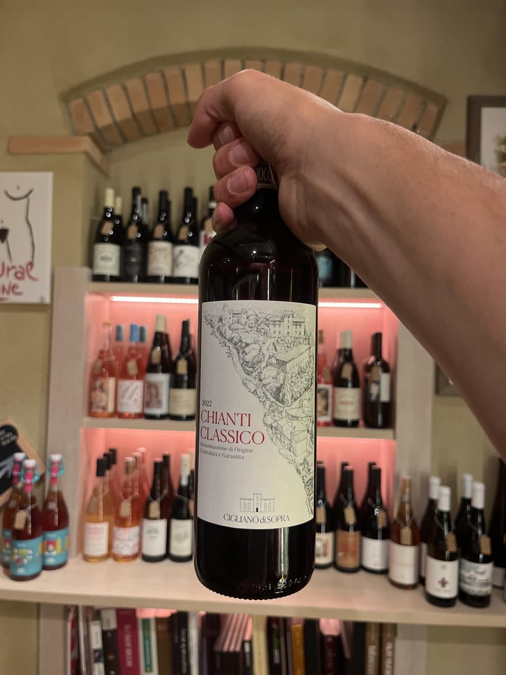 Chianti Classico - Fattoria Cigliano Di Sopra - Maddalena Fucile & Matteo Vaccari 