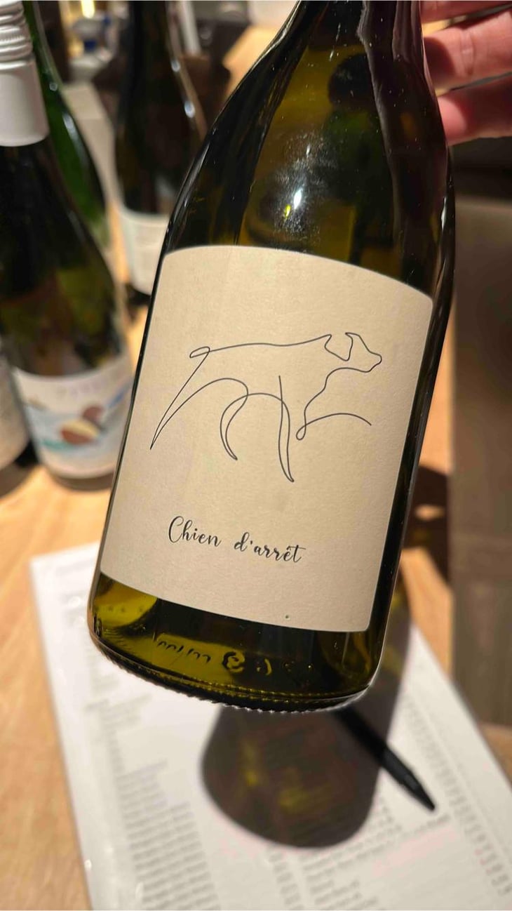 Chien D’arrêt - Axel Domont - Axel Domont 