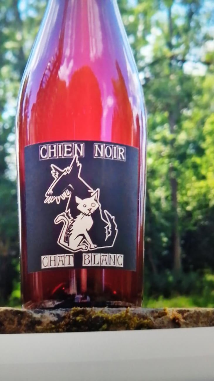 Chien Noir Chat Blanc - Domaine in Black - Lambert Spielmann 