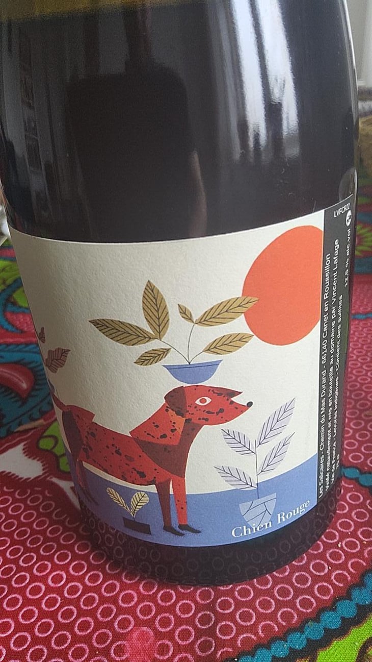 Chien rouge - Frace - Vincent Lafage 