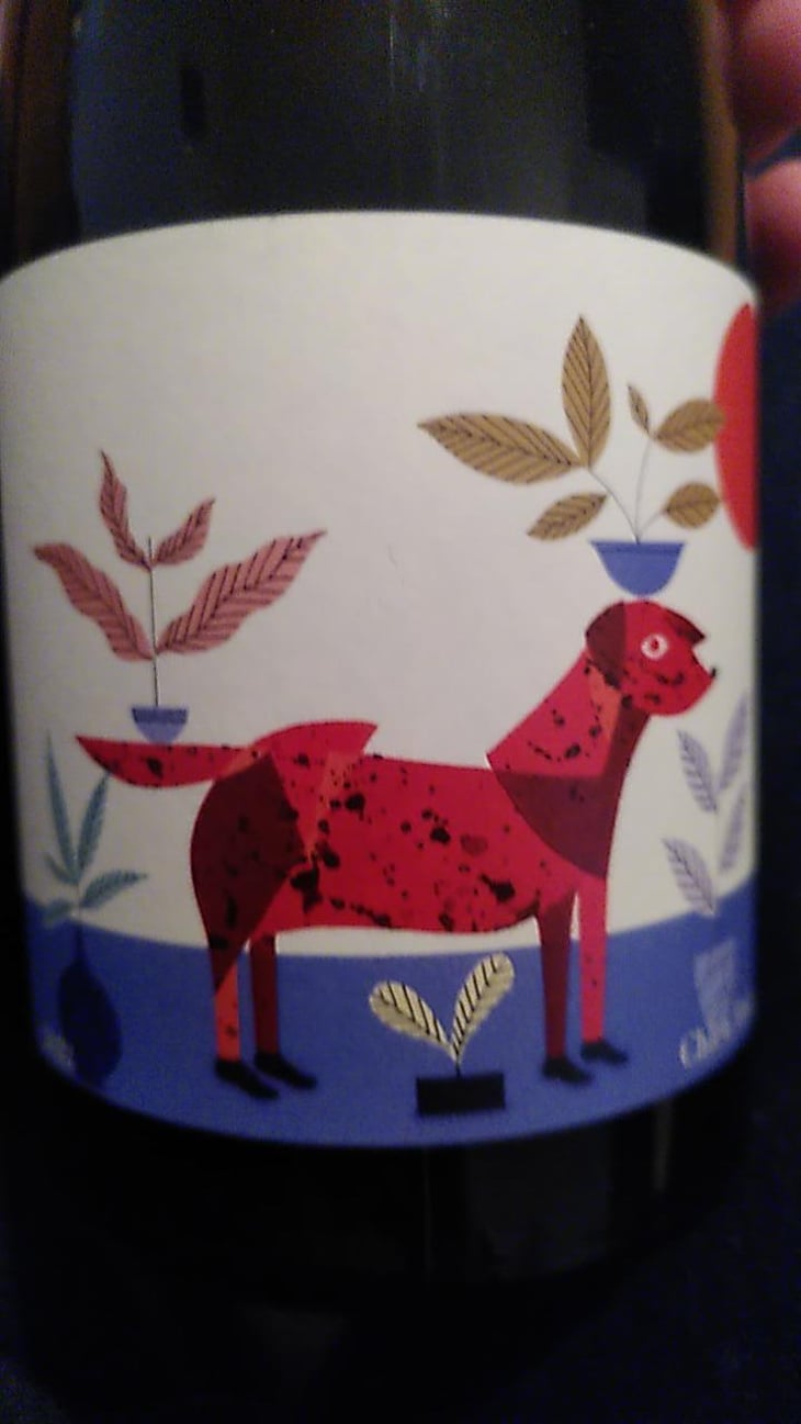 Chien rouge - Frace - Vincent Lafage 