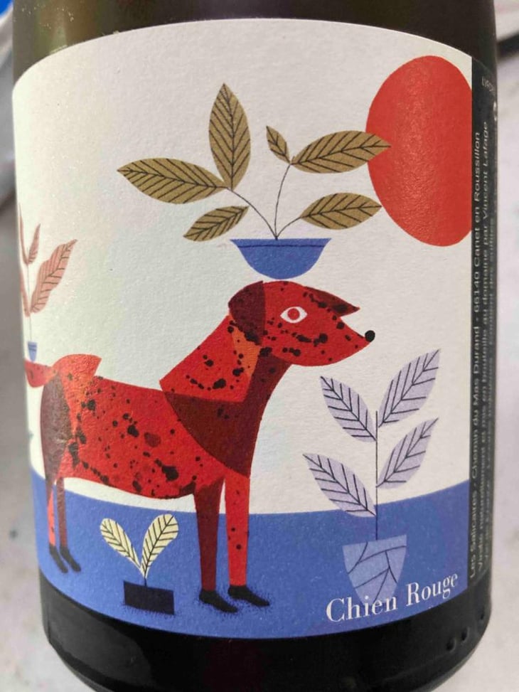 Chien rouge - Frace - Vincent Lafage 
