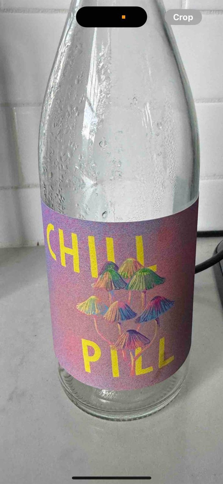Chill Pill - Subject to Change - Alex Pomerantz 