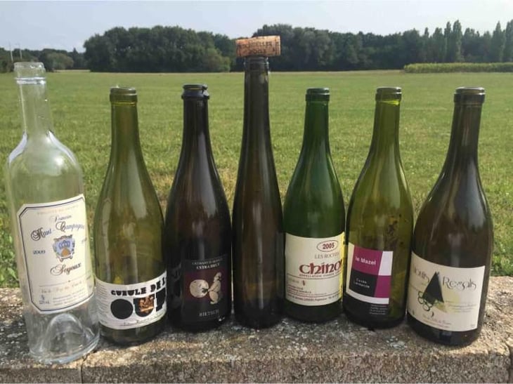 Chinon Les Roches - Domaine Les Roches - Alain & Jérôme Lenoir 