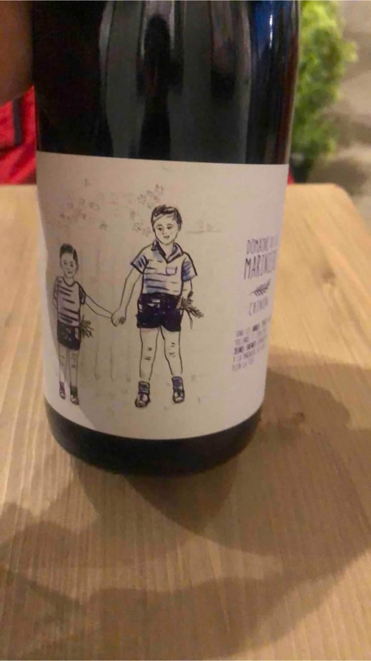 Chinon rouge - Domaine De La Marinière - Renaud & Boris Désbourdes 