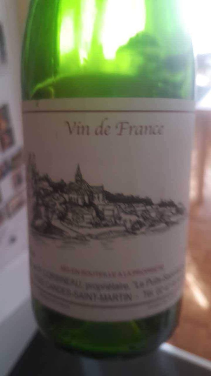 Chinon - Domaine Corbineau - Patrick Corbineau 