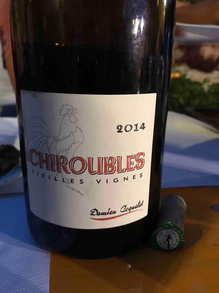 Chiroubles Vieilles Vignes - Damien Coquelet - Damien Coquelet 