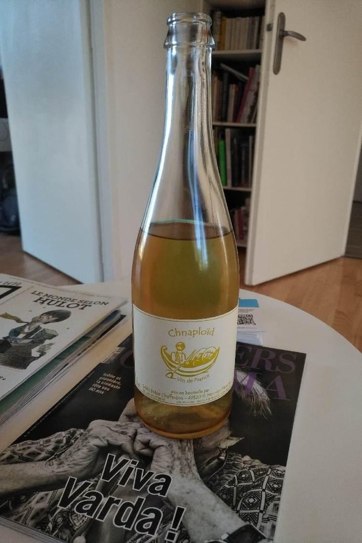 Chnaploïd - Didier Chaffardon - Didier Chaffardon 