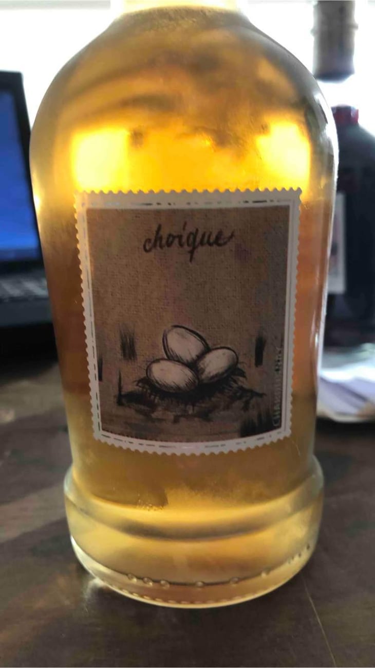 Choique - Stella Crinita - Joanna Foster & Ernesto Catena -2020