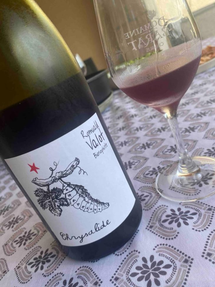 Chrysalide (Primeur) - Les Sauvageons - Cosima and Romuald Valot 