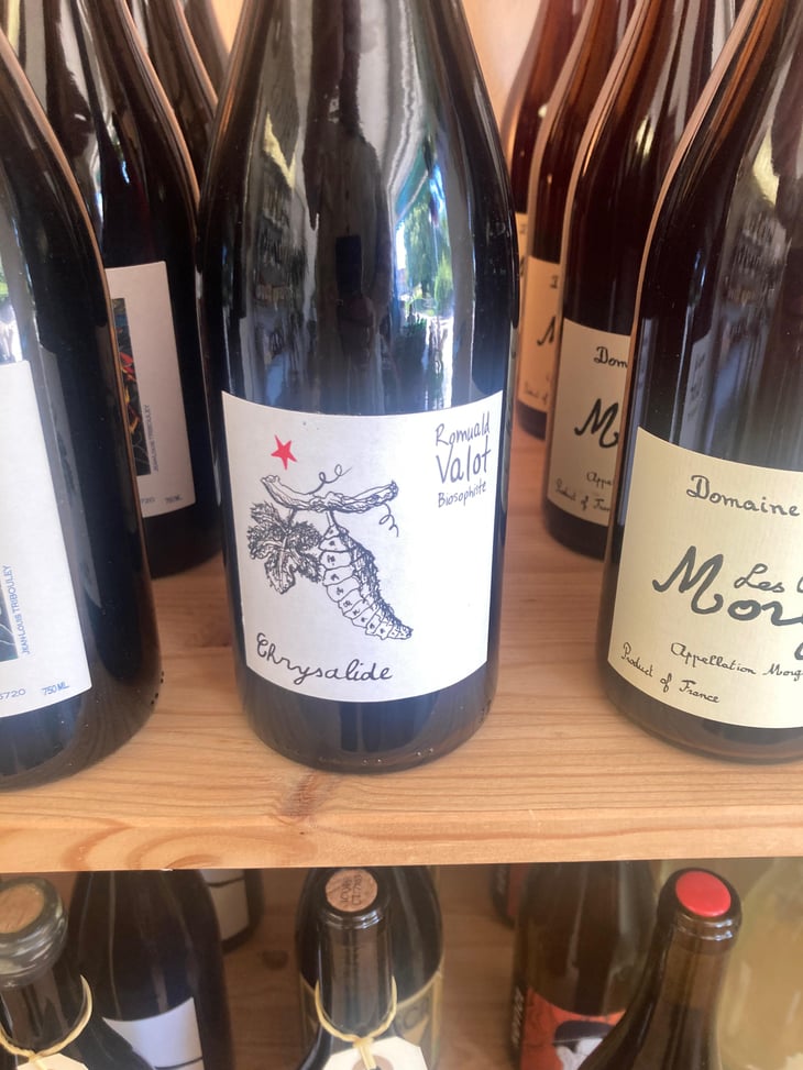 Chrysalide (Primeur) - Les Sauvageons - Cosima and Romuald Valot 