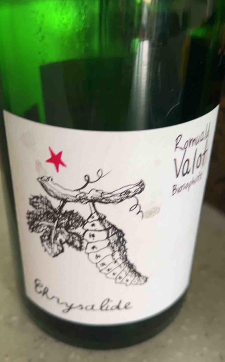 Chrysalide (Primeur) - Les Sauvageons - Cosima and Romuald Valot 