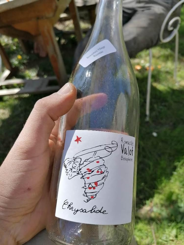 Chrysalide (Primeur) - Les Sauvageons - Cosima and Romuald Valot 
