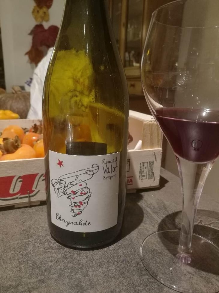 Chrysalide (Primeur) - Les Sauvageons - Cosima and Romuald Valot 