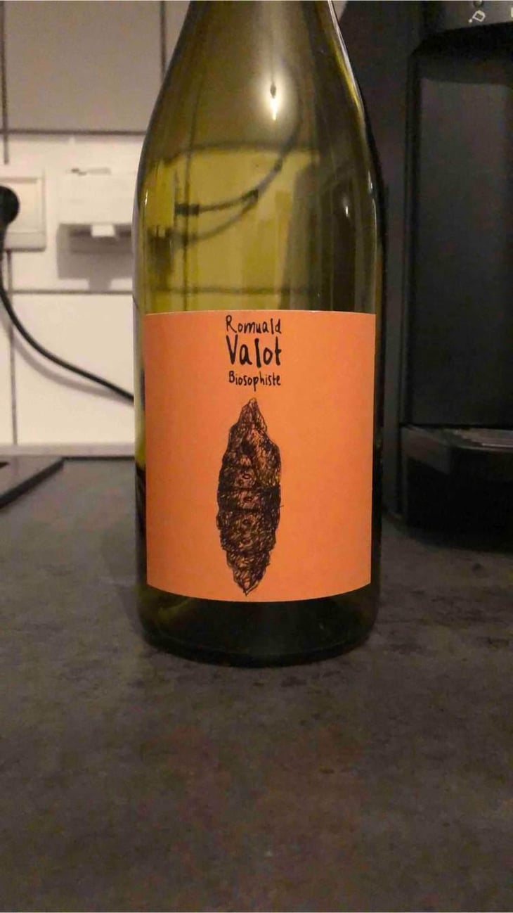 Chrysalide (Primeur) - Les Sauvageons - Cosima and Romuald Valot 
