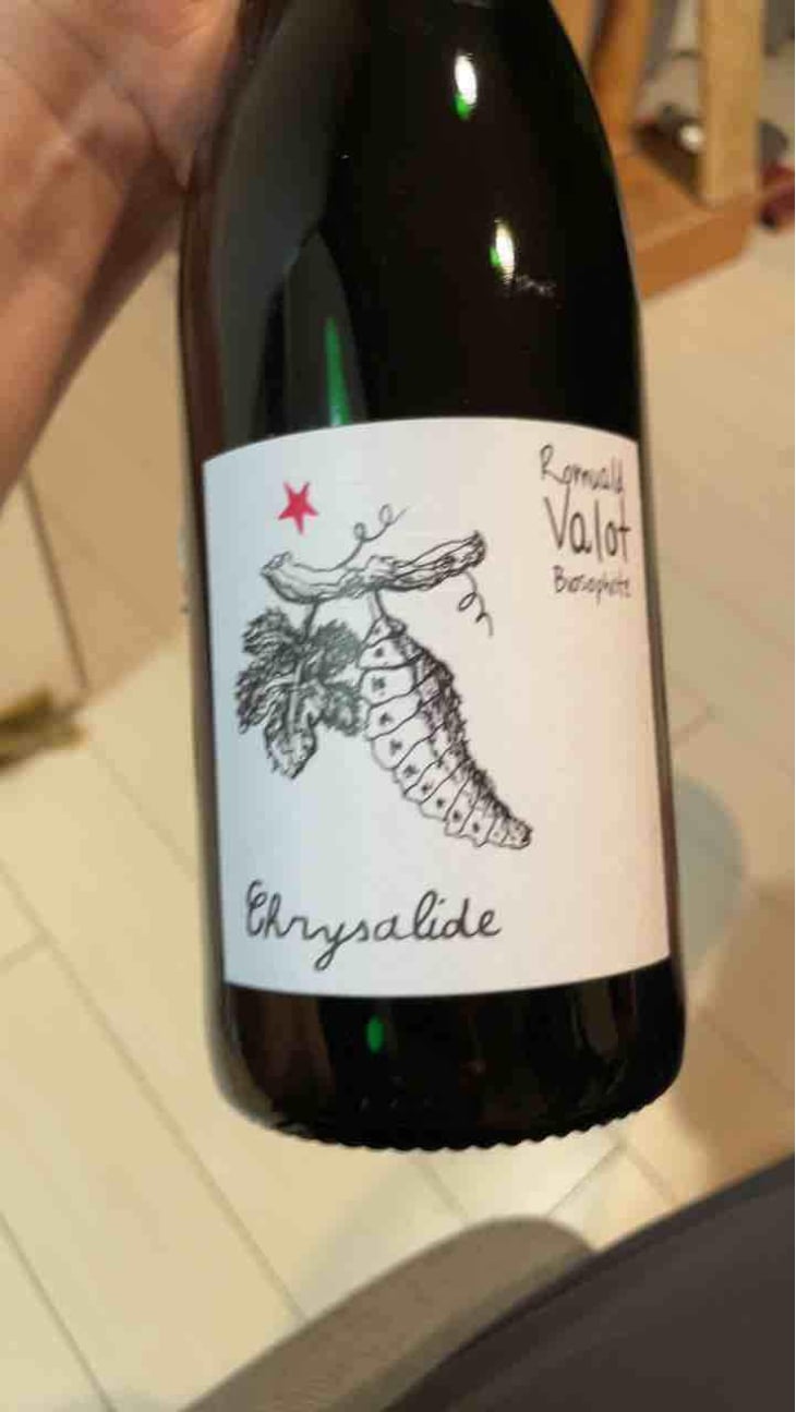 Chrysalide (Primeur) - Les Sauvageons - Cosima and Romuald Valot 