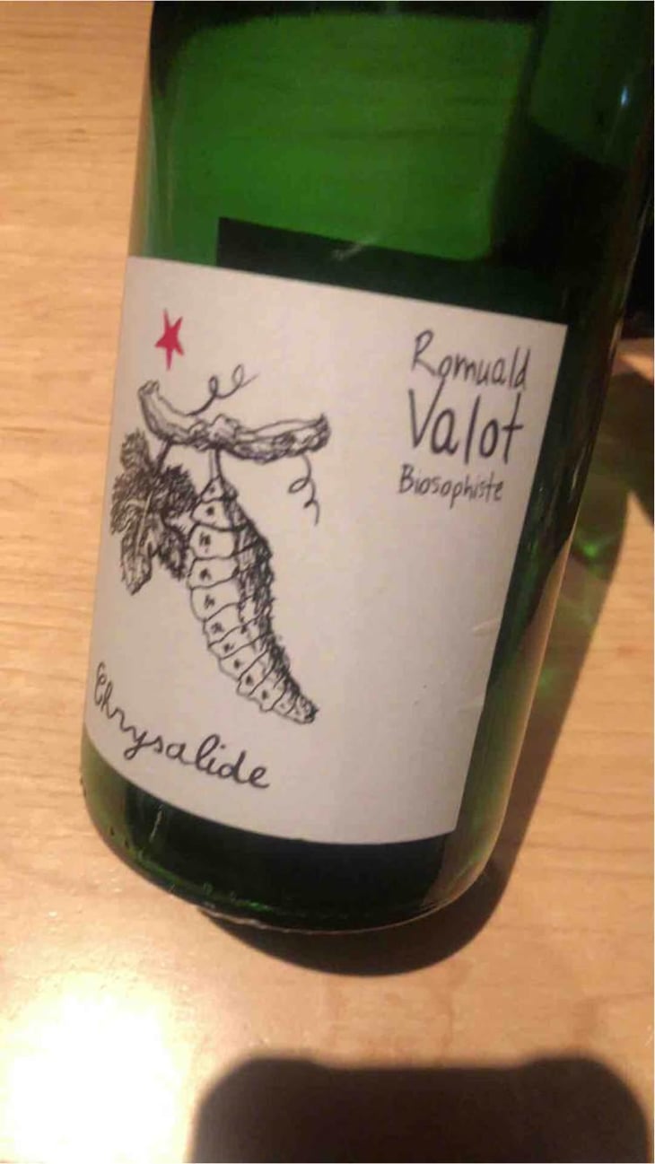 Chrysalide (Primeur) - Les Sauvageons - Cosima and Romuald Valot 