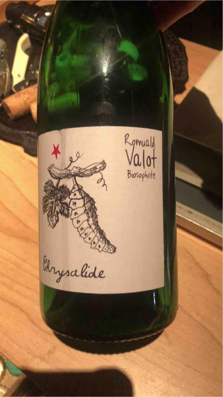 Chrysalide (Primeur) - Les Sauvageons - Cosima and Romuald Valot 