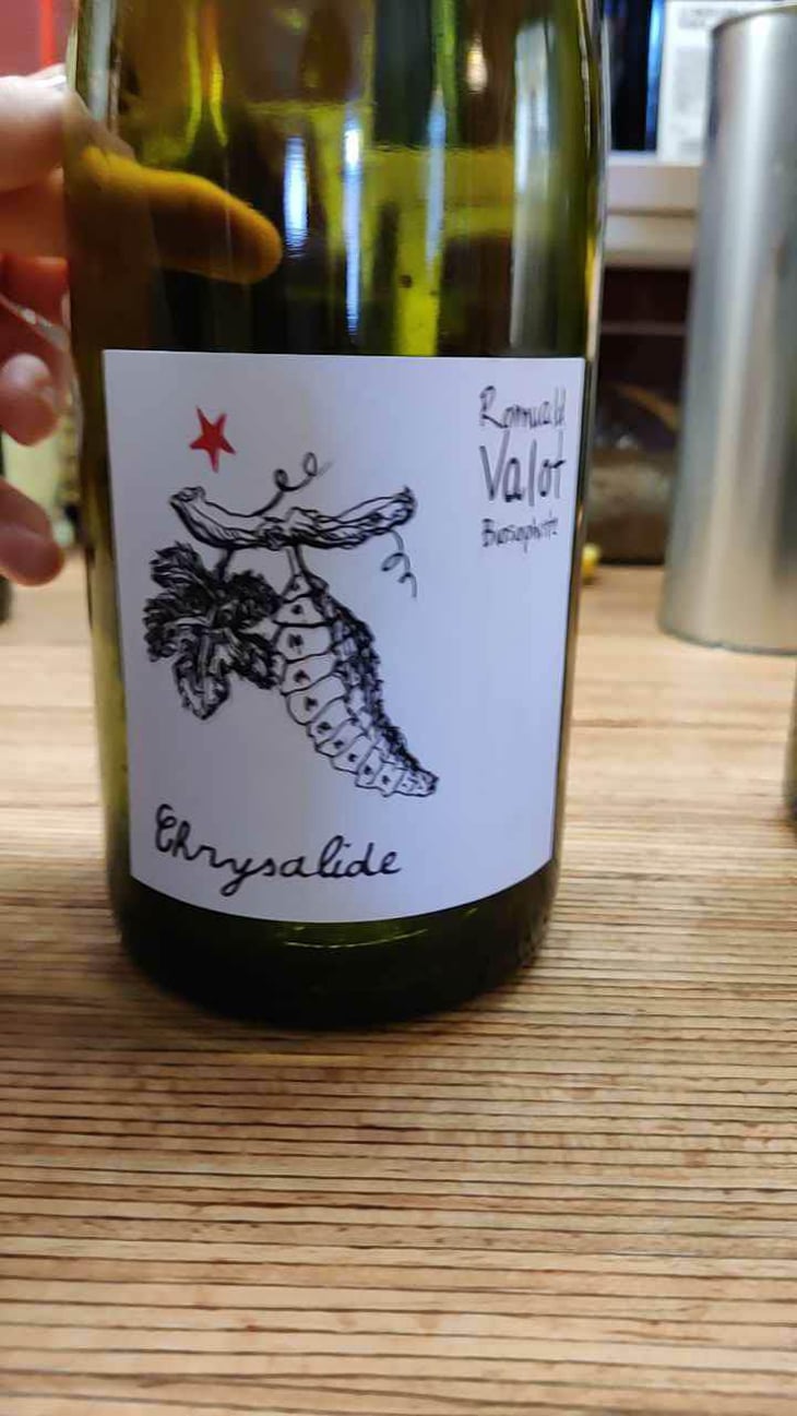 Chrysalide (Primeur) - Les Sauvageons - Cosima and Romuald Valot 